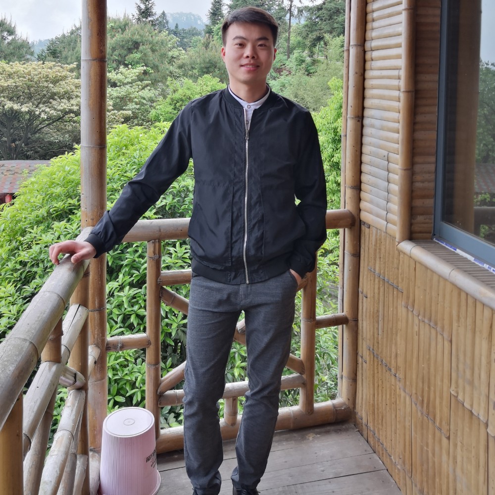 星哥哥米开朗基罗的照片