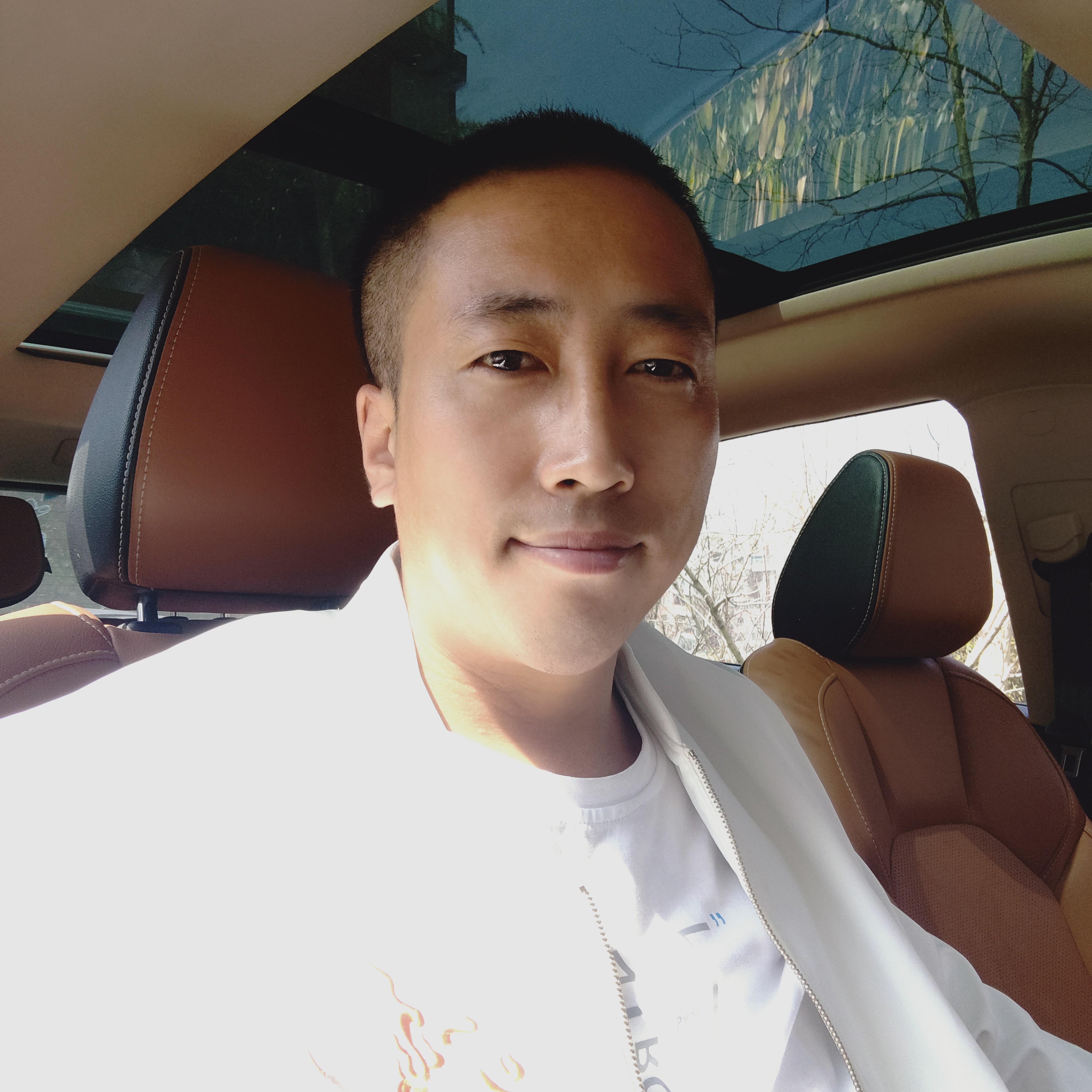 仙人掌請丰富的照片