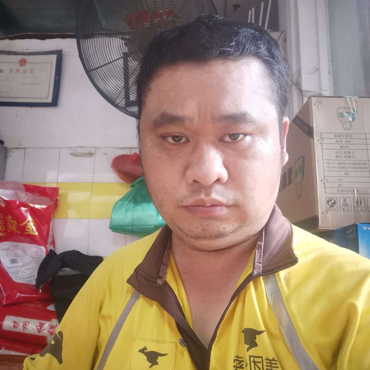 老实的小亮的照片