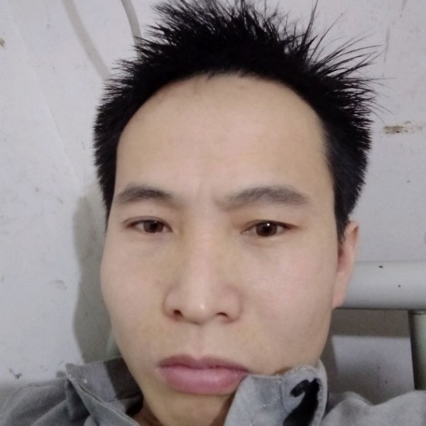 美丽倾心老虎的照片