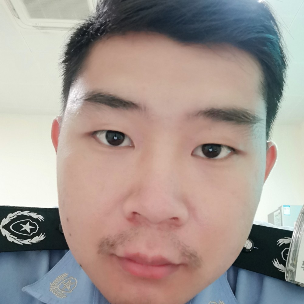 淡然方乌龟的照片