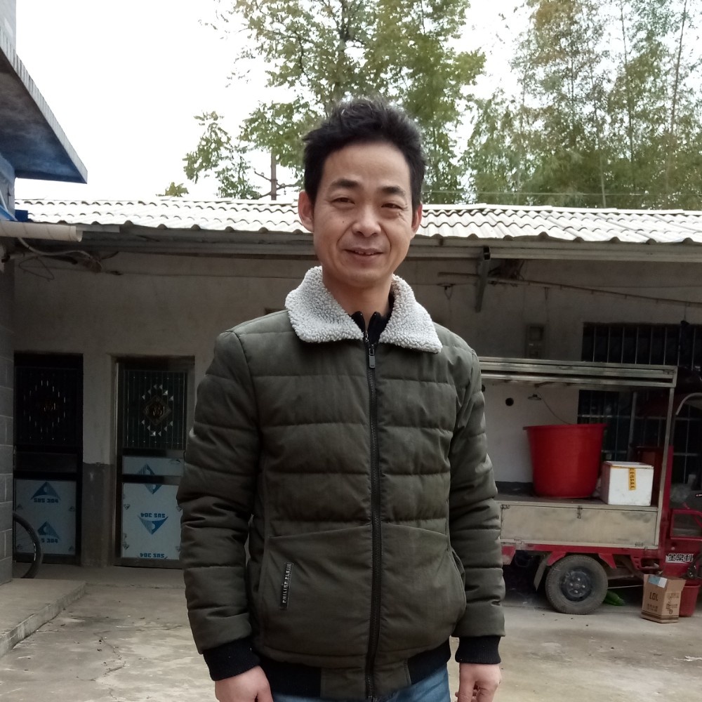 想着你到永远的照片