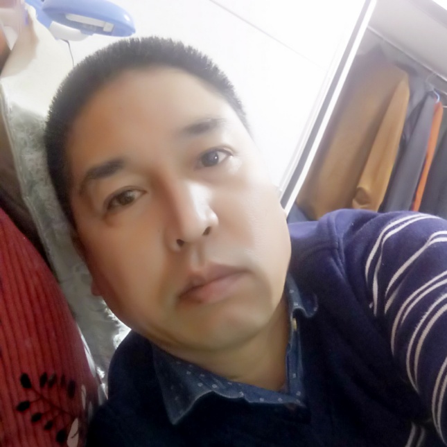 潇洒乌龟的照片