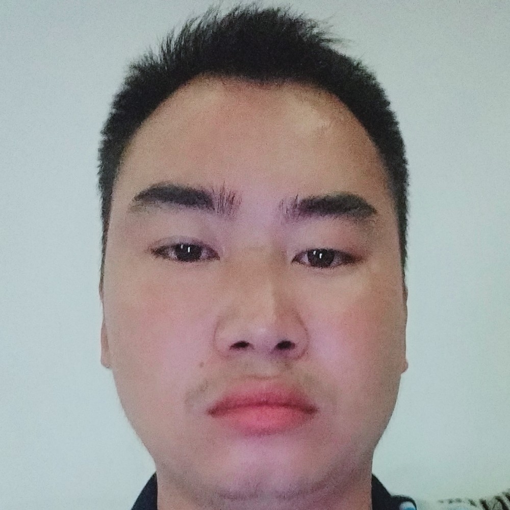 浮在空中的鱼的照片