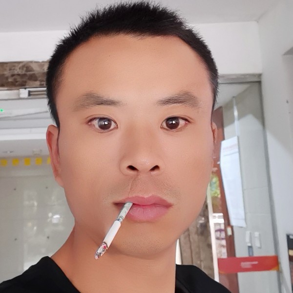 美满百合永恒的照片