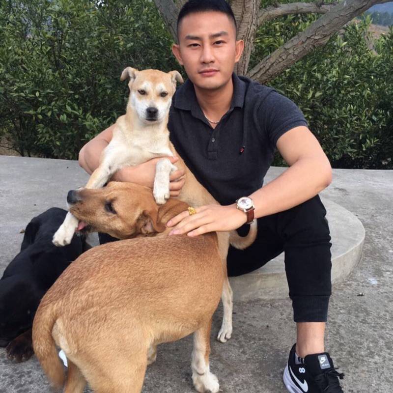 海哥。的照片