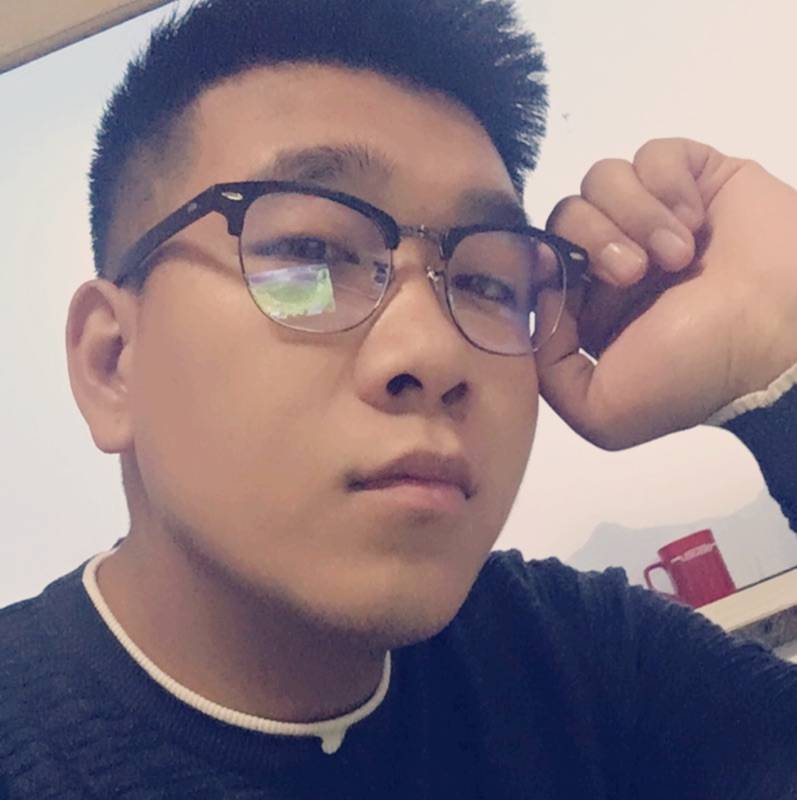 落叶的照片