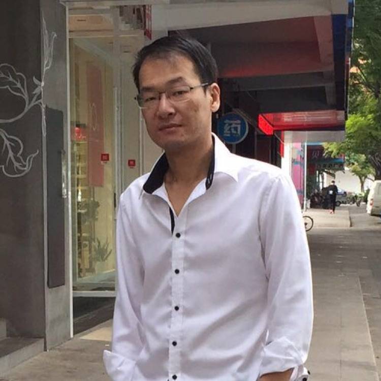 蔷薇下的凤凰的照片