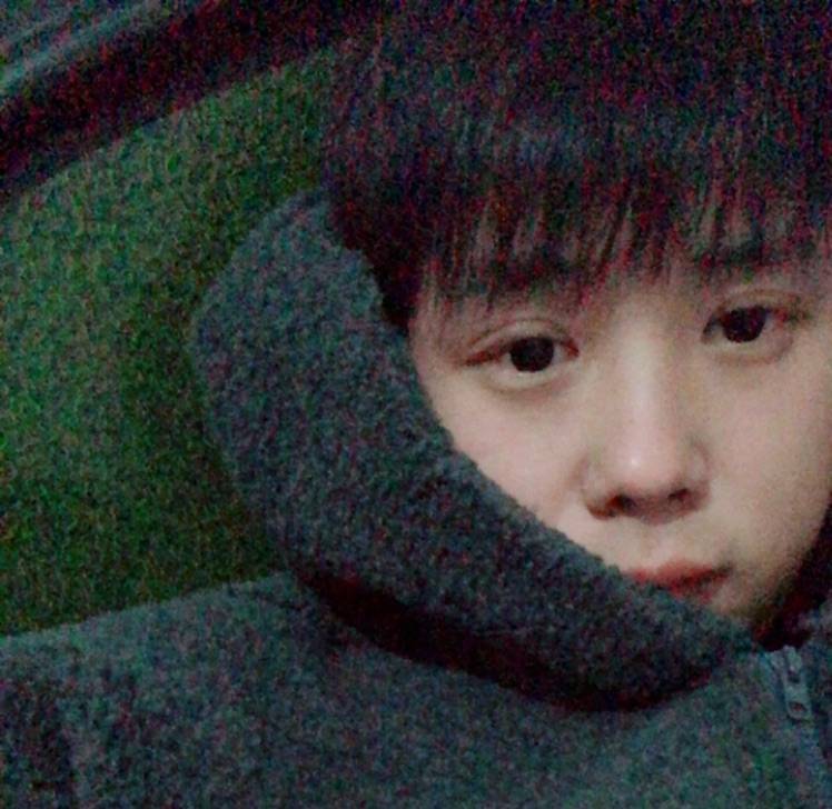 小尾巴躲猫猫的照片