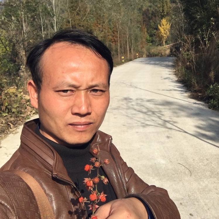 民谣吉他的照片