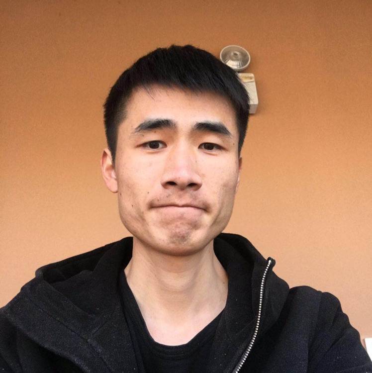 柳较瘦的照片