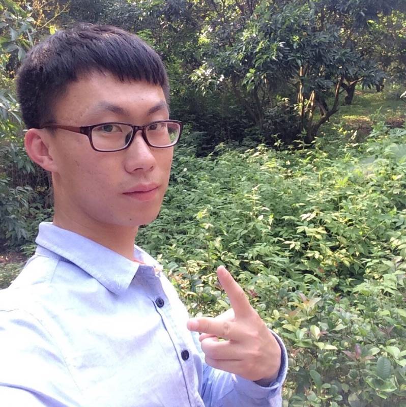 兜风的小乌龟的照片