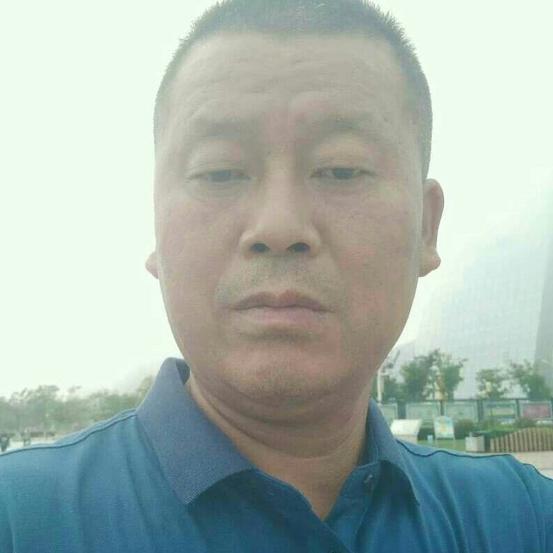 勤奋向小鸭子的照片