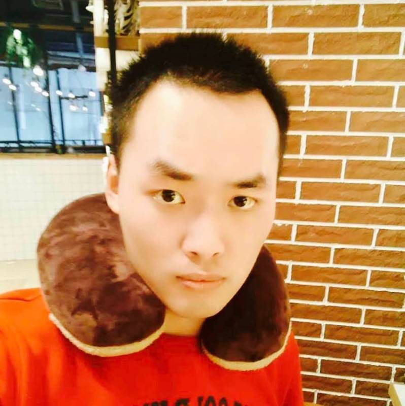 琪琪老爷的照片