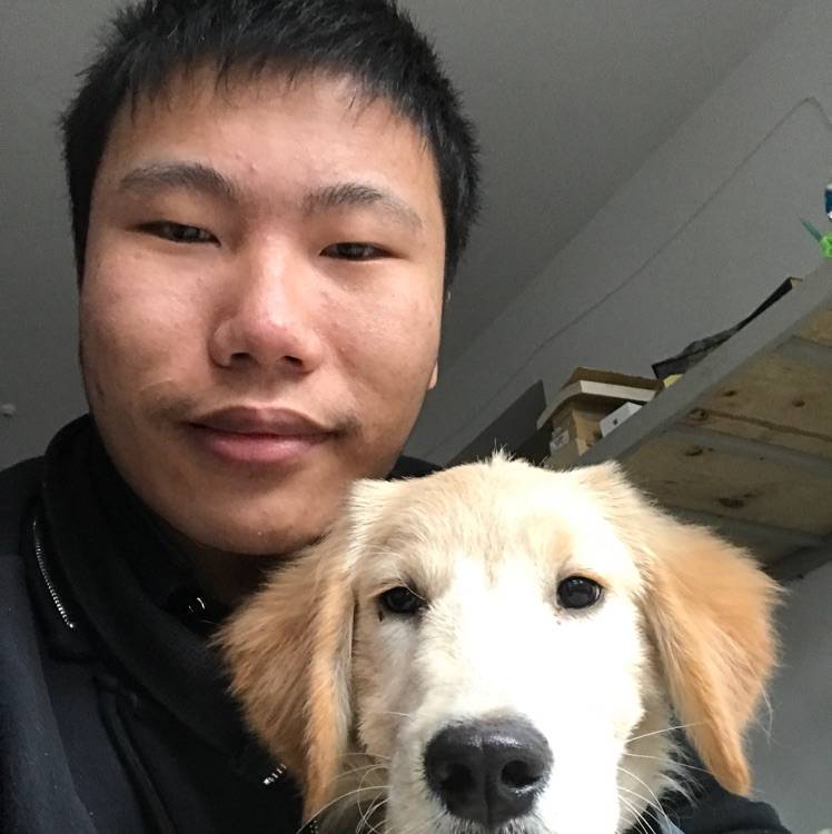 没有梦想的咸鱼的照片