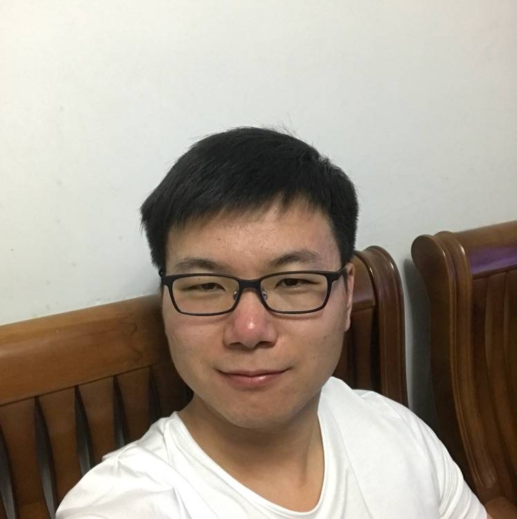 奔蚁的照片