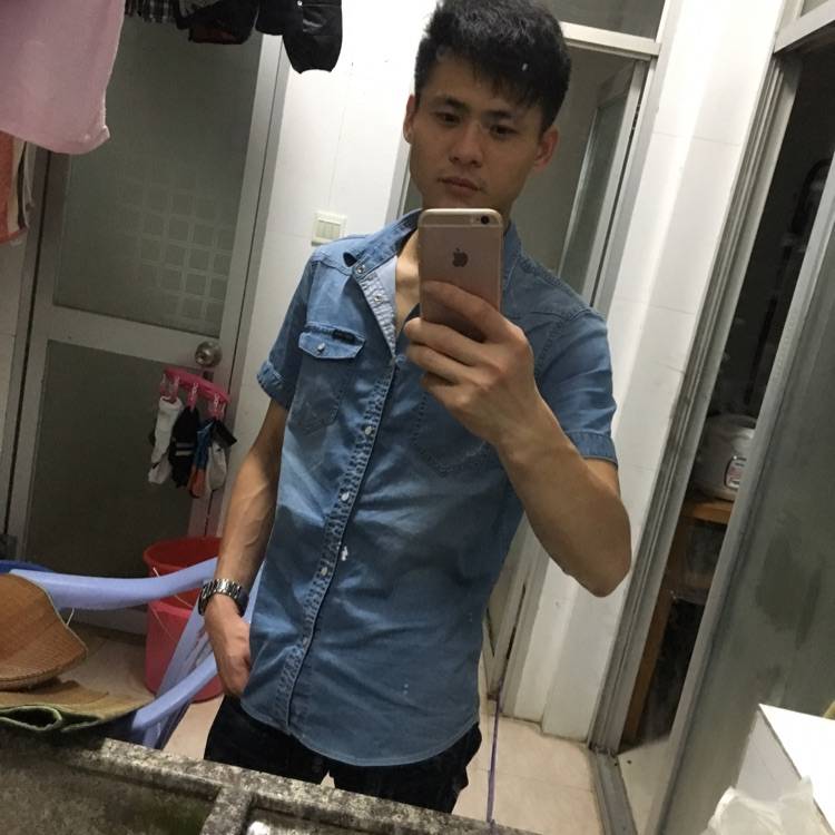 会飞的鱼的照片
