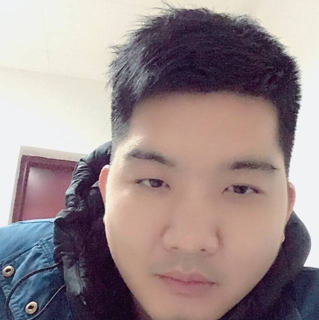 随风柳叶的照片