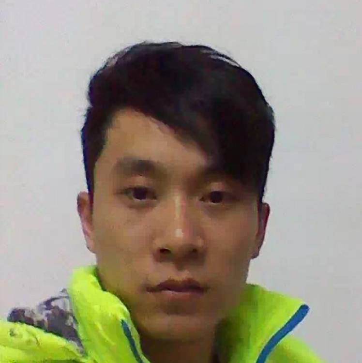甜枣的照片