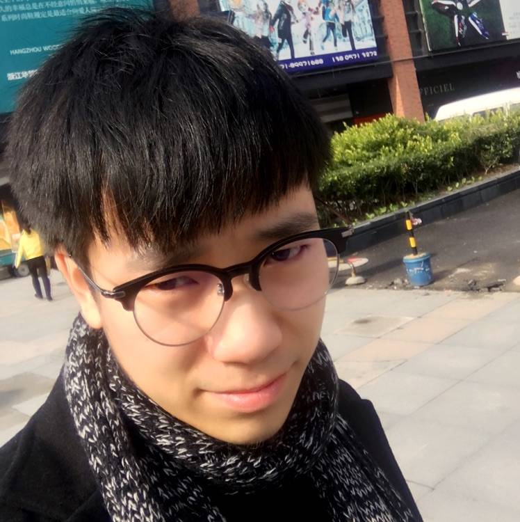 旋转的鱼的照片