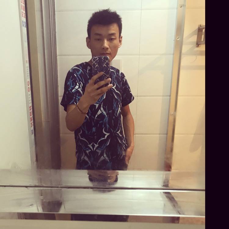 猪没有我酷的照片