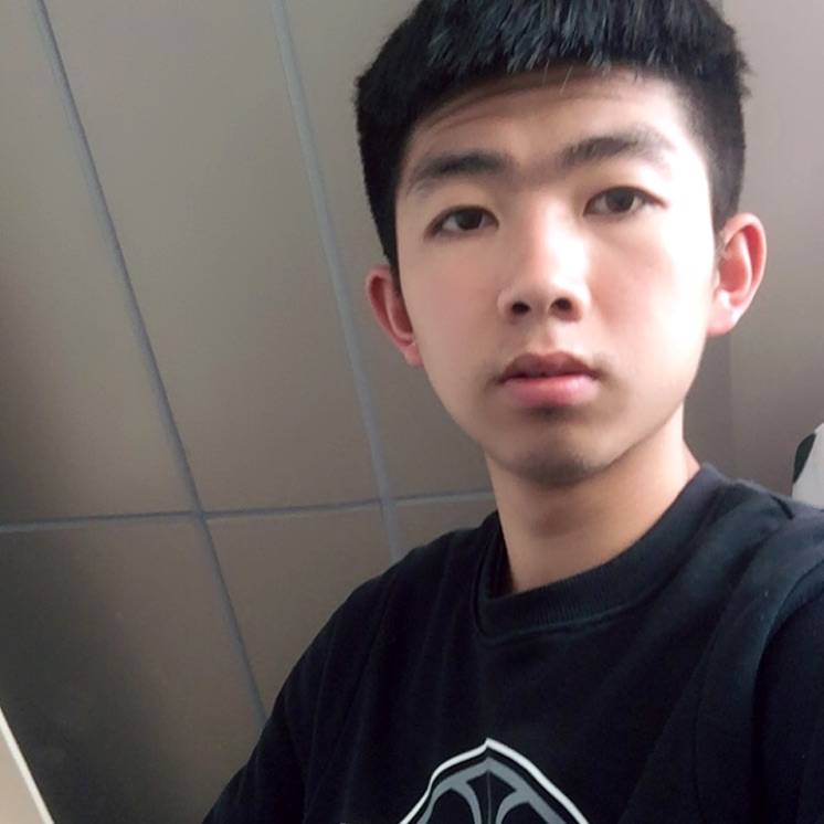 爱像野马的照片
