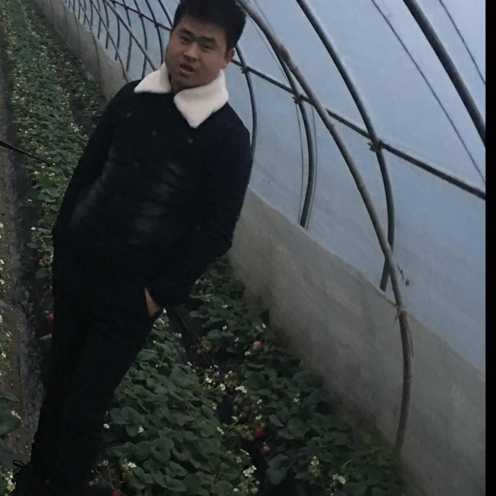 爱交友的照片