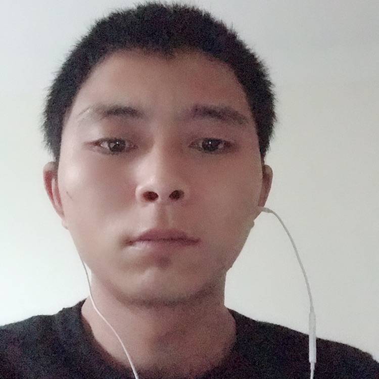 孤独就是牛的照片
