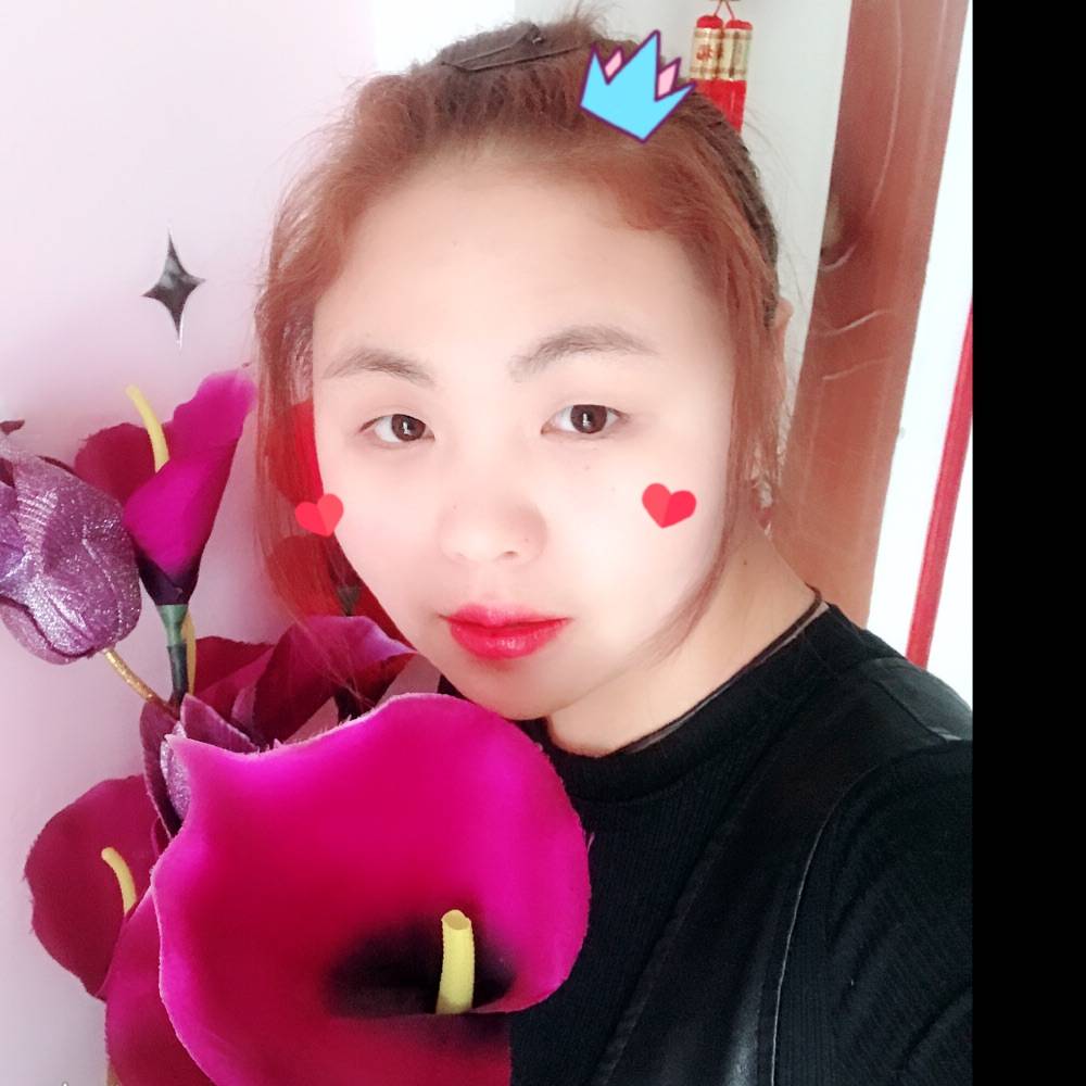 柠檬树的照片