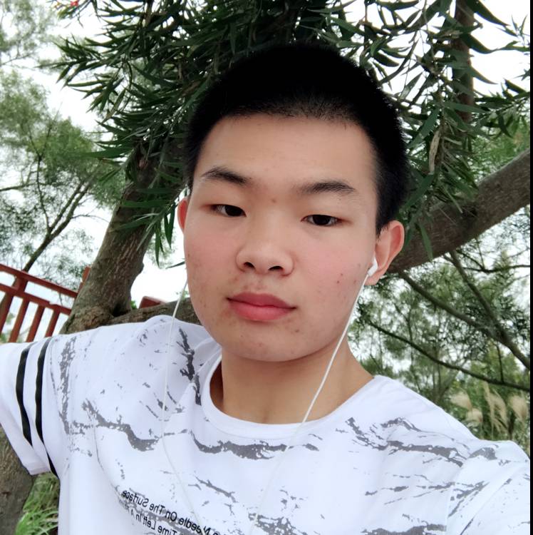 昙花一现。的照片