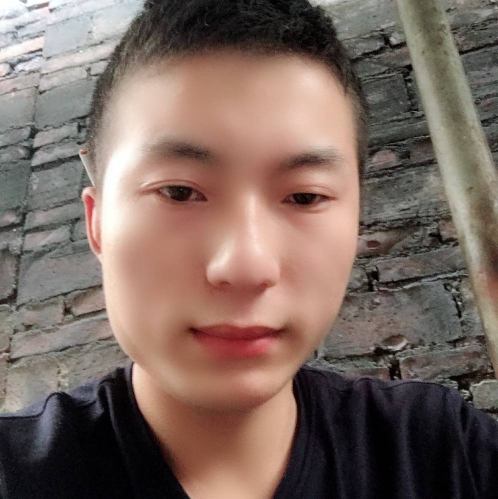 孤独的沧狼的照片