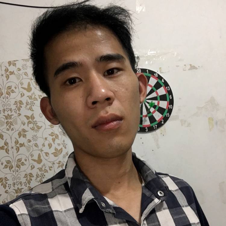 爬上围墙的猪的照片