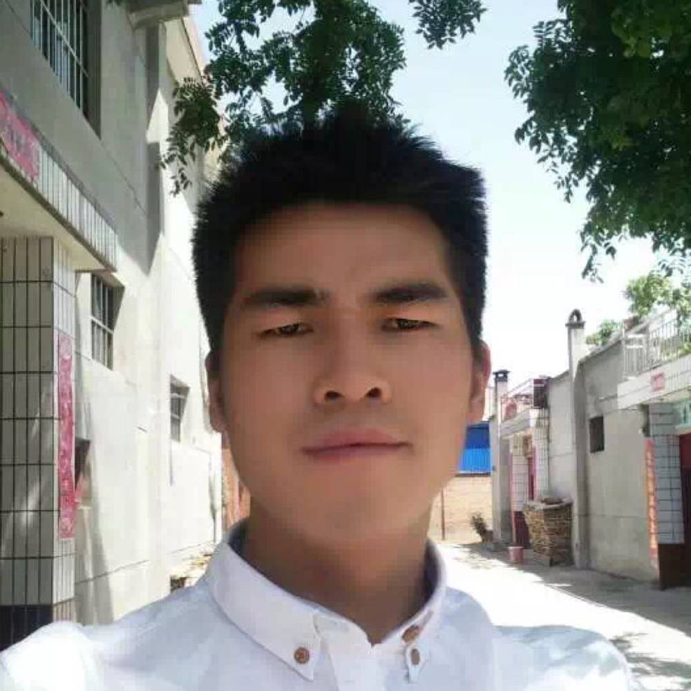 心、易碎的照片
