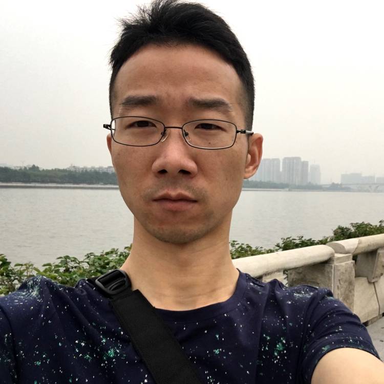 漂流猫的照片