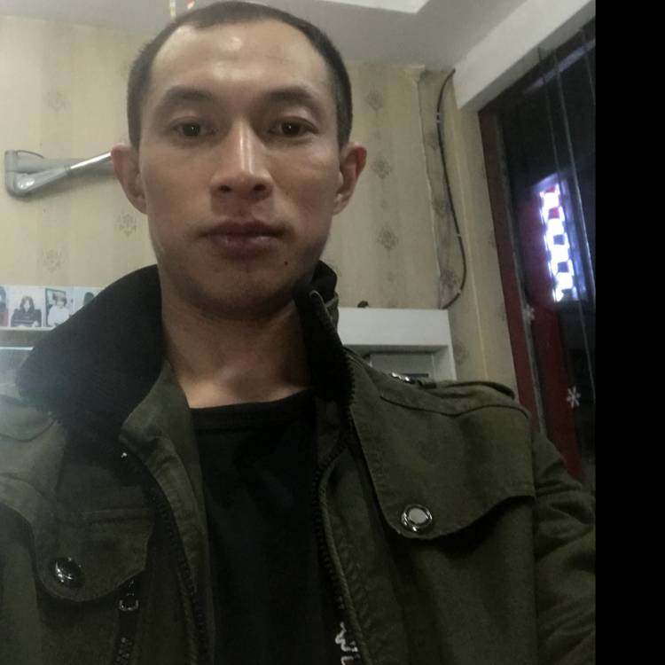 一叶浮萍知秋的照片