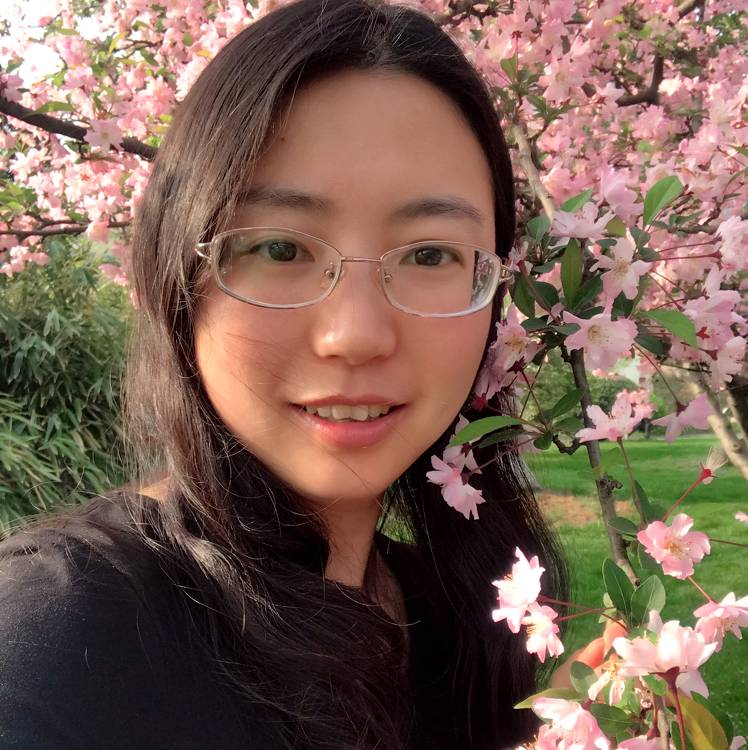空心籽的照片