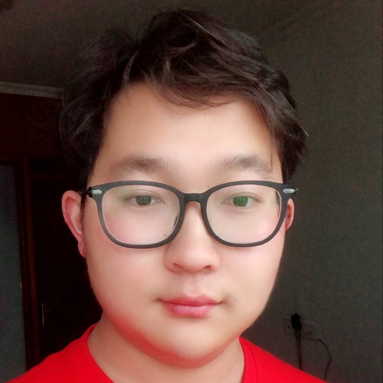 布达拉葱的照片