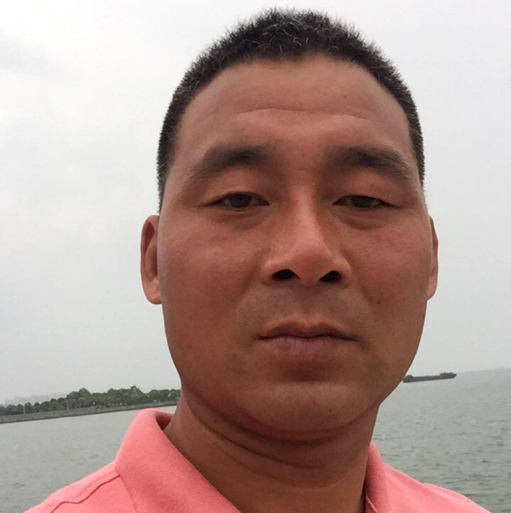 沙滩椰子树的照片