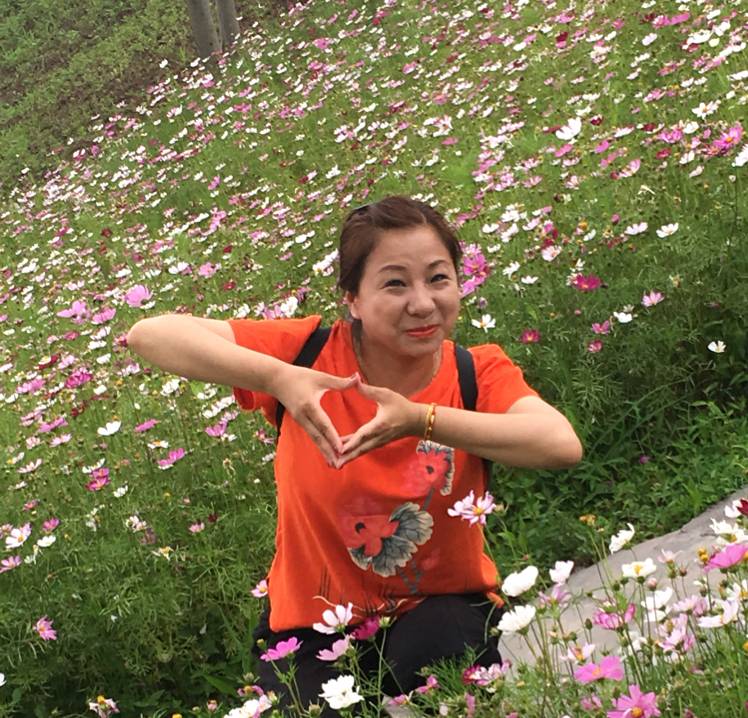 坚强枫叶的照片
