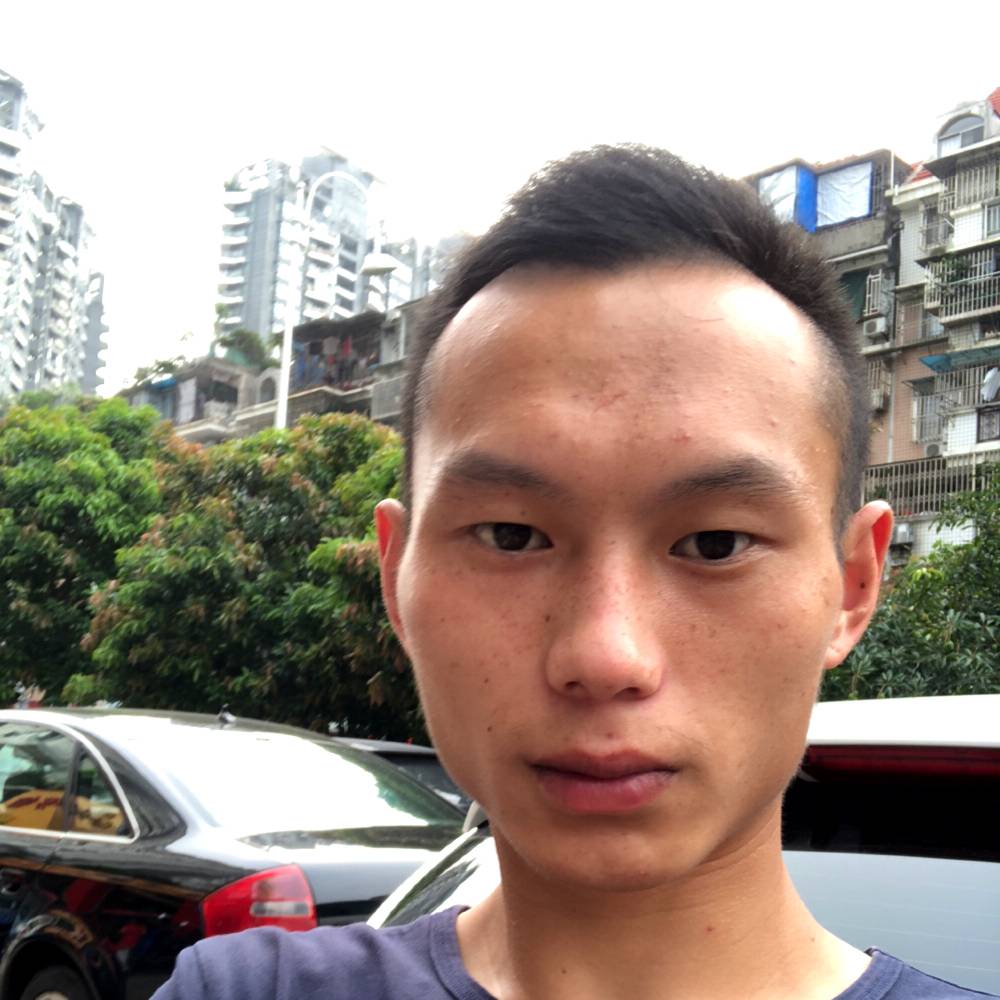 务实泥猴桃的照片