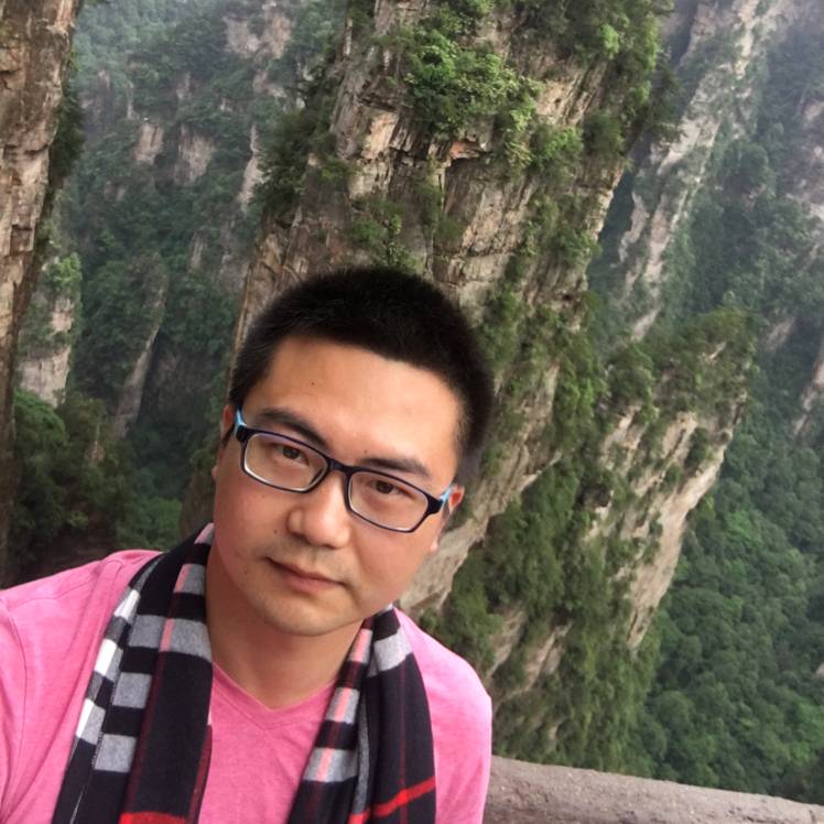 调皮北极熊的照片