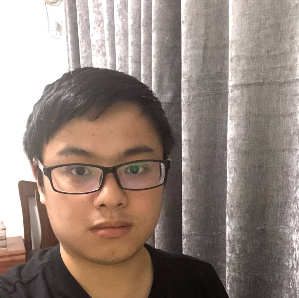 细腻枫叶的照片