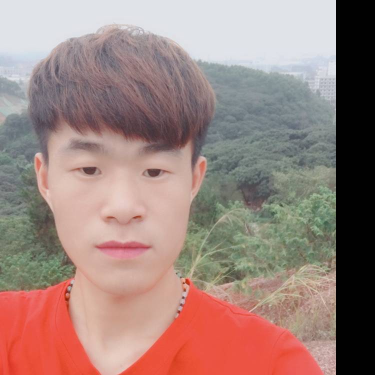 诚心龙猫的照片