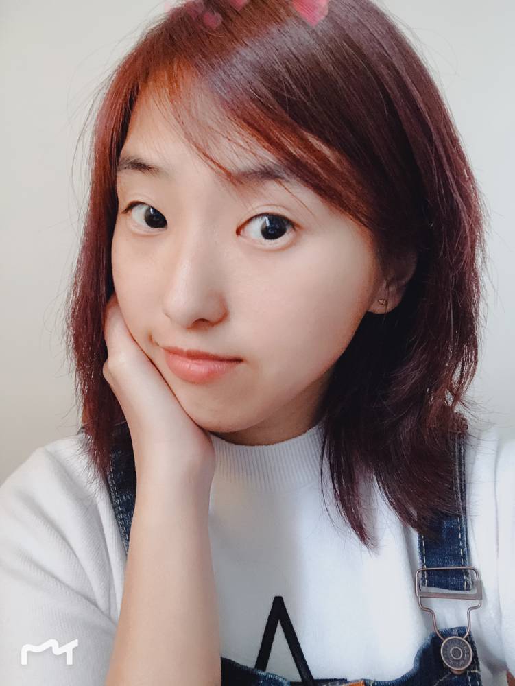 安静小猫咪的照片