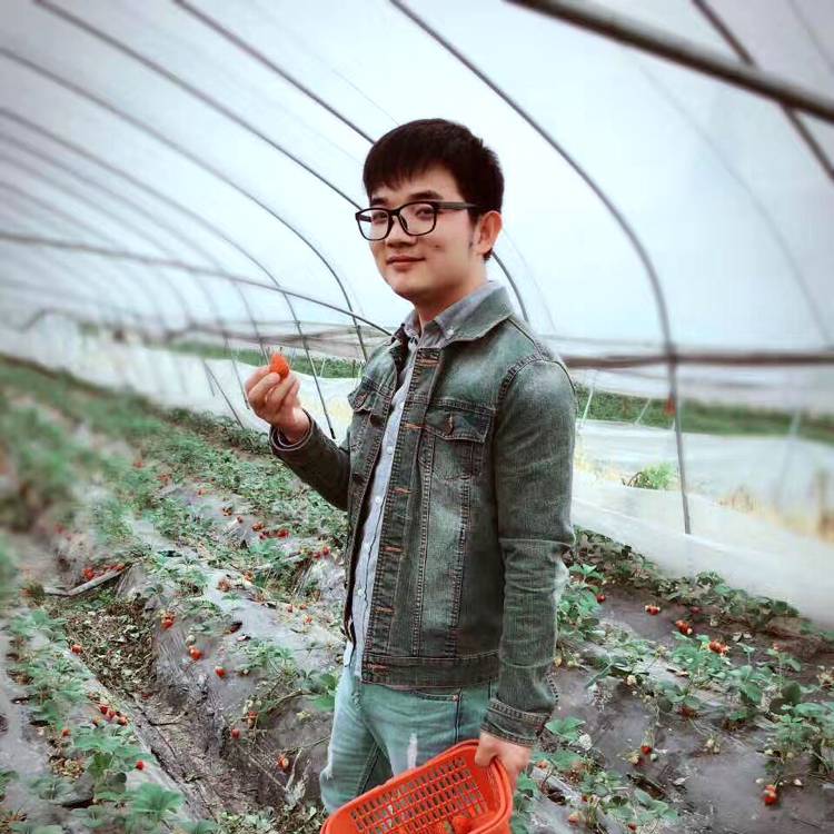 明月照林间的照片