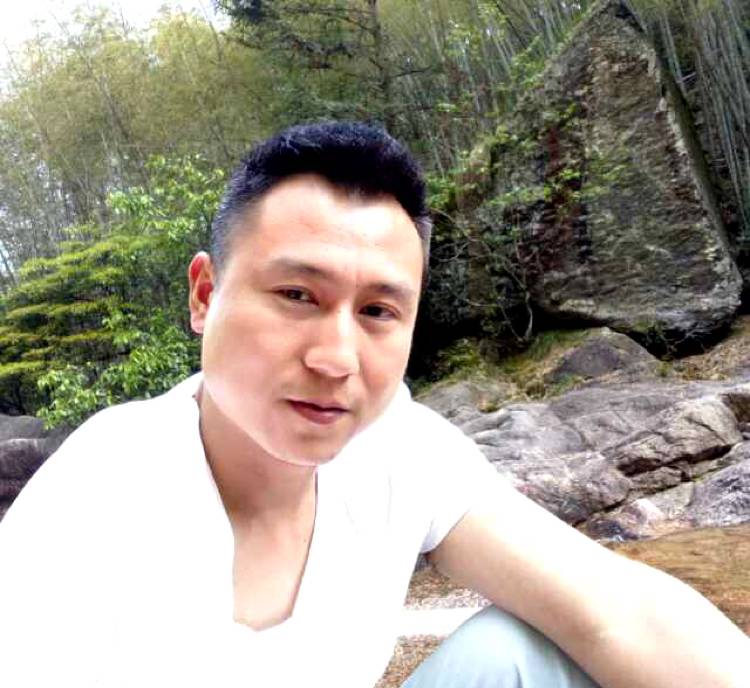 尊敬树叶的照片