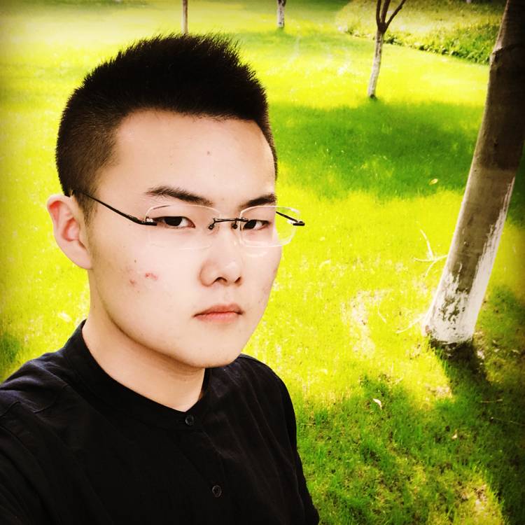 一碗红烧牛肉面的照片
