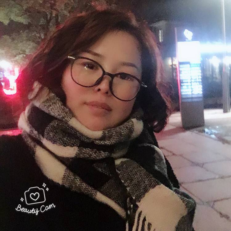 舒心康乃馨的照片