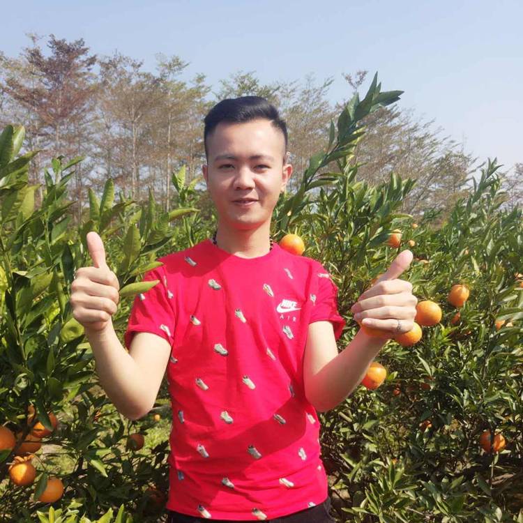 淡定酒窝的照片