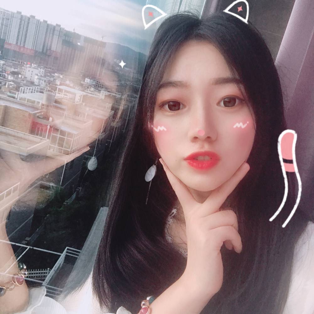 小燕子。的照片